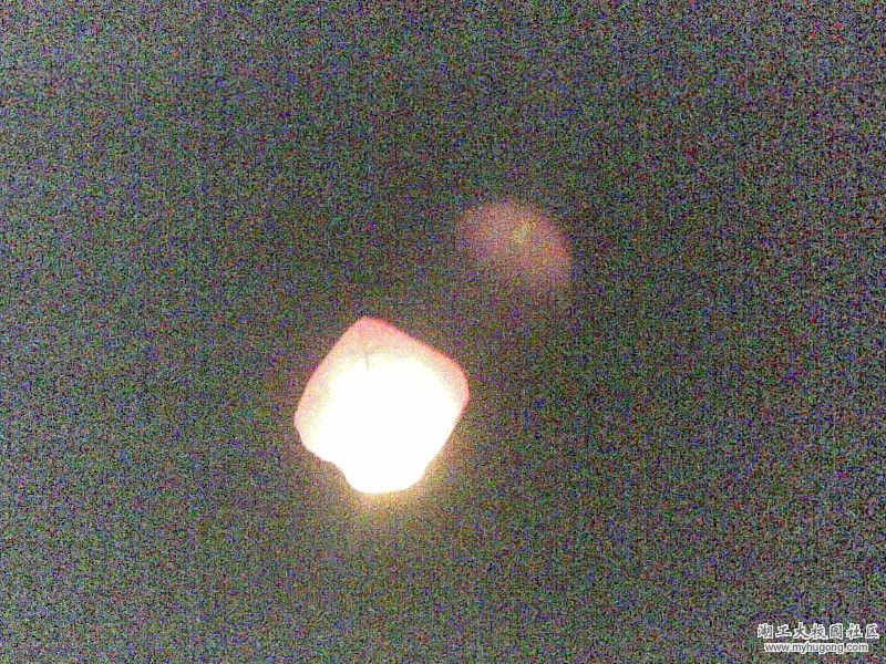 BigBull_20080502(008).jpg