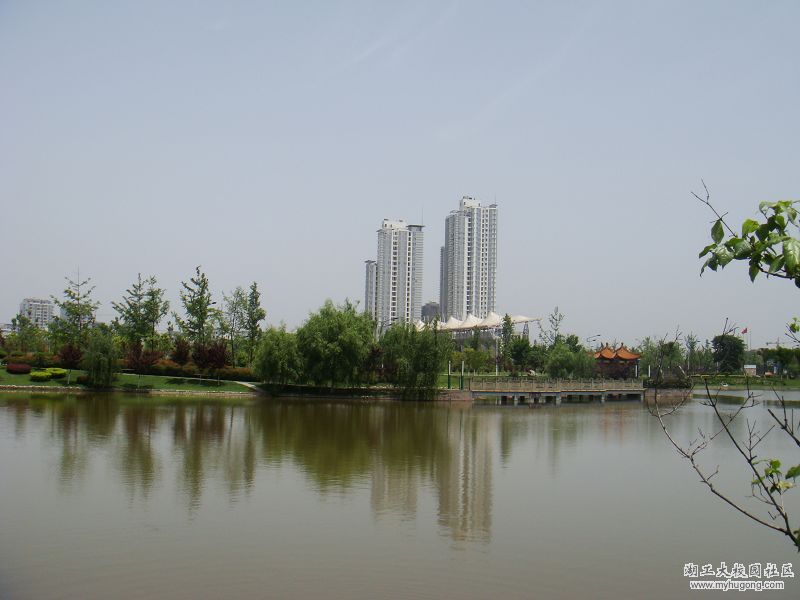 nEO_IMG_DSC02784.jpg