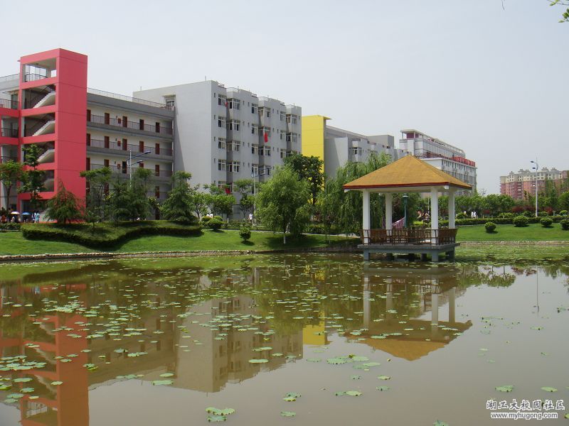 nEO_IMG_DSC02764.jpg