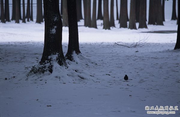 ��ѻ