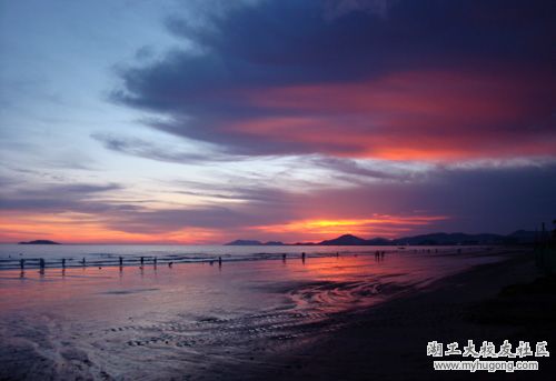 IMG_2625.jpg
